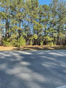 Mw Rickenbaker Rd, Summerton, SC, 29148