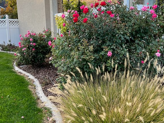 4th image of 12244 S High Creek Cir