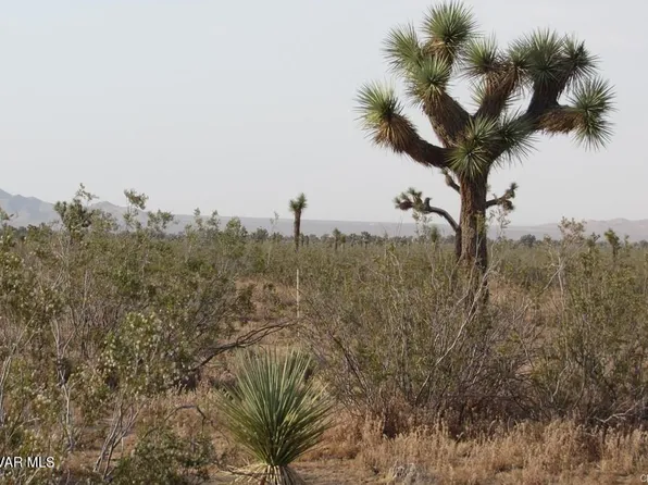 3129171060000 Caughlin Rd, Adelanto, CA 92301