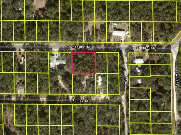 Chestnut St Lot 14, Interlachen, FL 32148