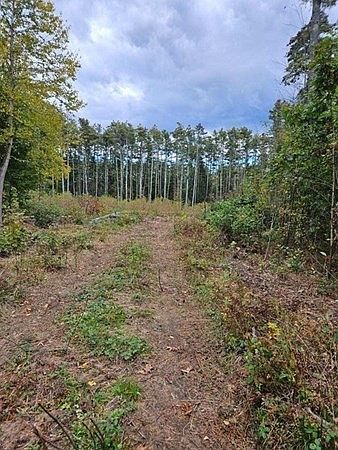 2nd image of 53 Daniel Shays Hwy