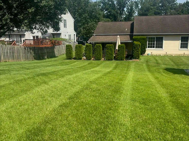 Nice back yard partially fenced in! Mowing provided by property management.