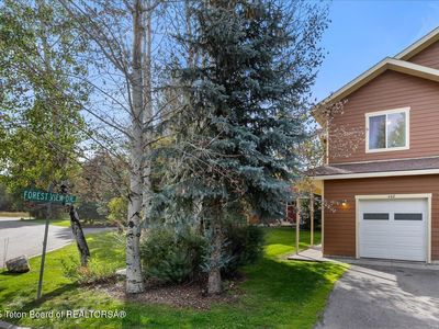 448 Forest View Dr, Driggs, ID, 83422