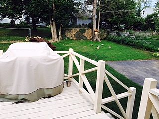 Deck/Backyard