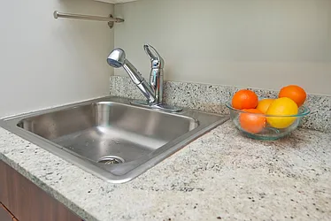 Rented by Prodigy Network