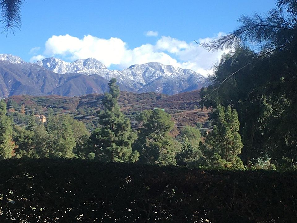 view fronting bedroom