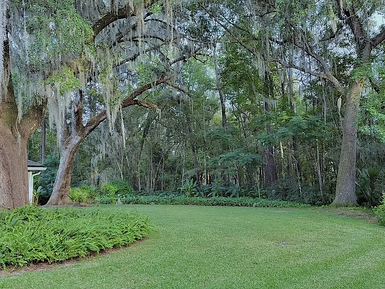 Back yard view of preserve