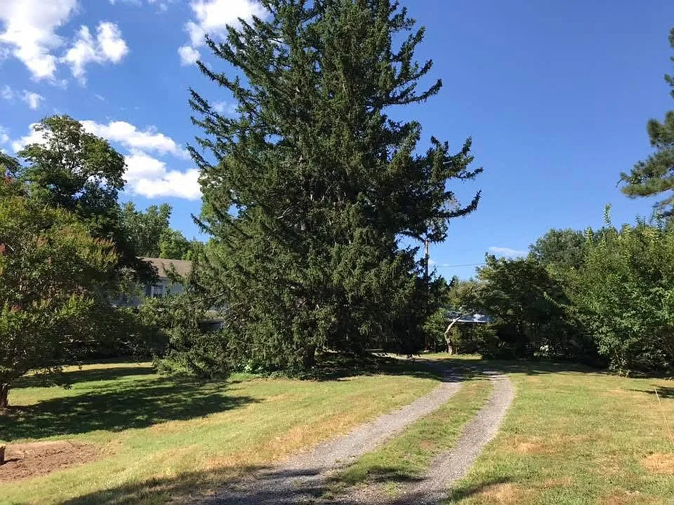 10812 Merrimack Pl photo 1
