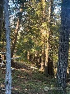 60 Forest Ridge Drive, Packwood, WA, 98361