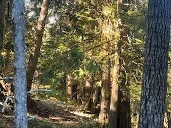 60 Forest Ridge Drive, Packwood, WA 98361
