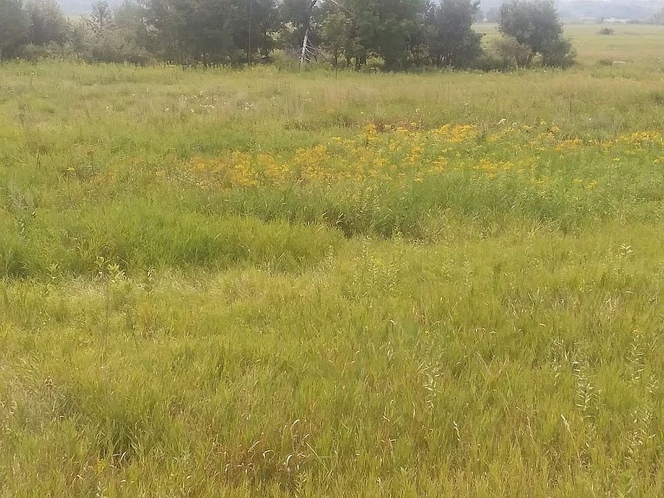 2nd image of Leaf River Rd