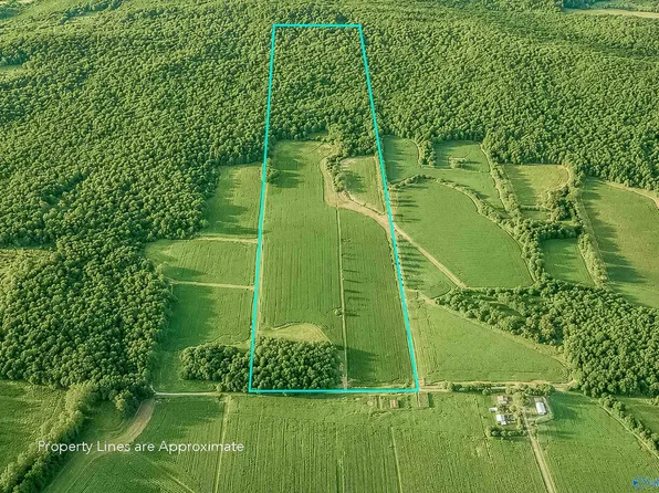 99AC Simmons Ln, New Market, AL 35761
