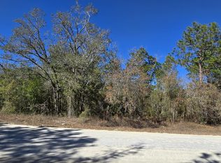 13231 Road Runner Ave, Brooksville, FL 34614