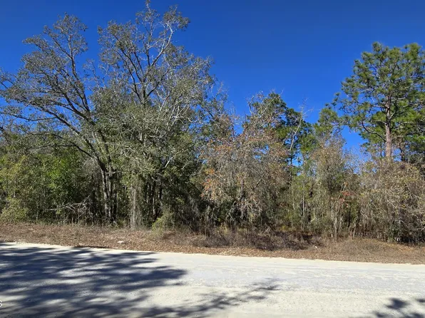 13231 Road Runner Ave, Brooksville, FL 34614