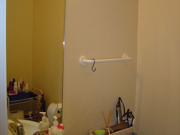 Lower Level Bathroom