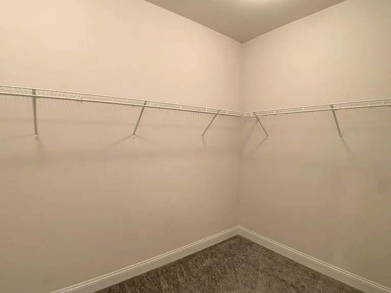 1499 Tropical Pine Cv — Photo 29