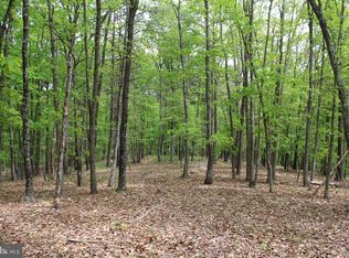 Oak Ridge Rd, Springfield, WV 26763