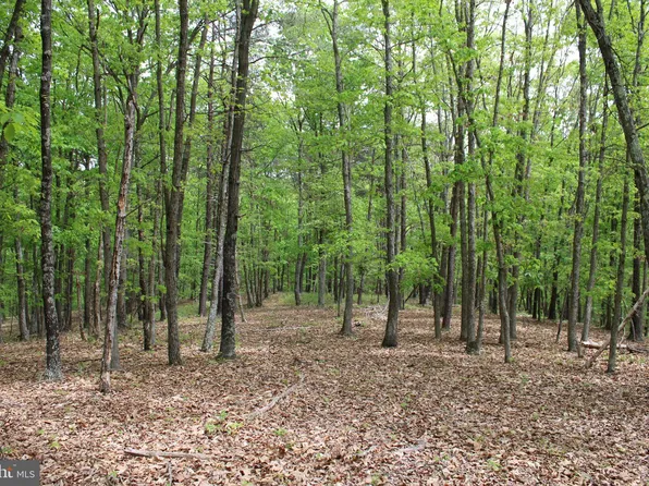 Oak Ridge Rd, Springfield, WV 26763