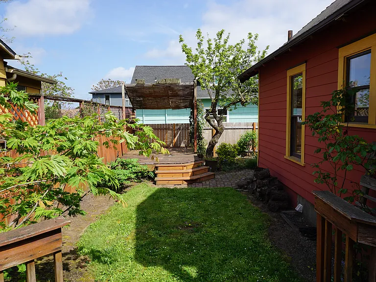 Back Yard