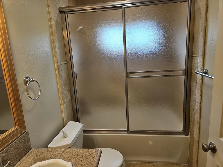 Glass Shower Door