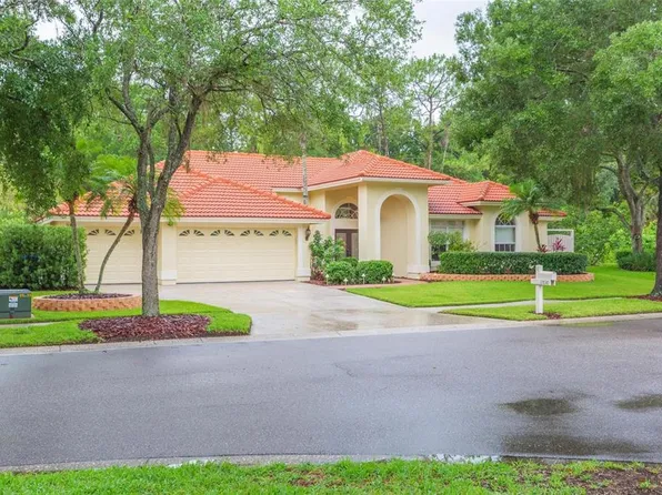 17830 GREY BROOKE DRIVE, TAMPA, FL 33647