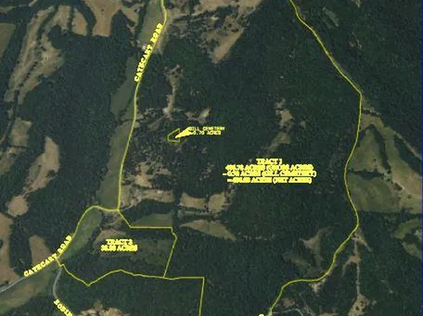 334 Cathcart Rd, Frankewing, TN 38459