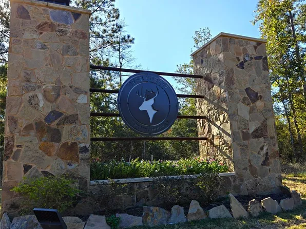 357 Iron Horse Rd, New Waverly, TX 77358