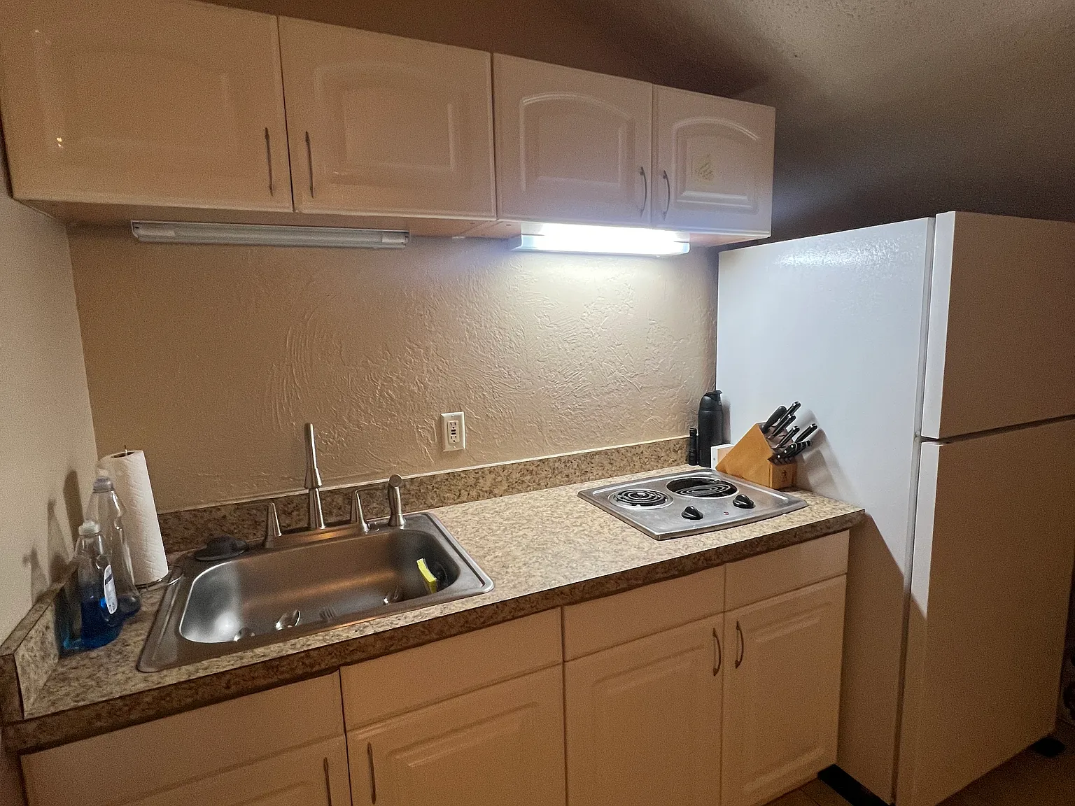 1 bed, 750 sqft, $1,000 — Photo 3