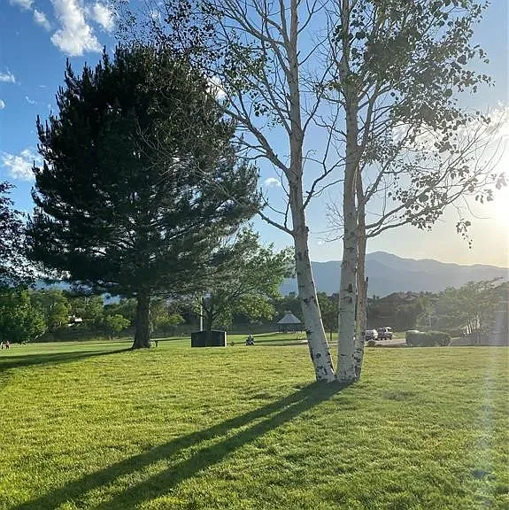 Villa grass area, across the street from the park.