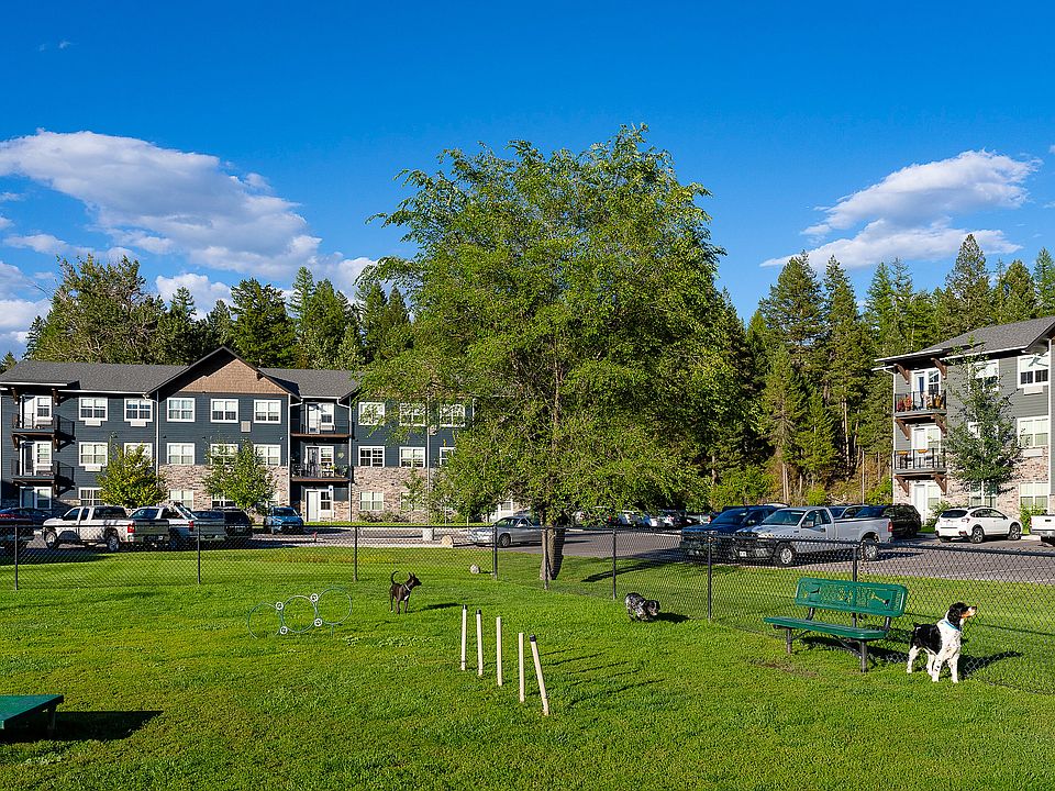 An expansive dog park with agility equipment