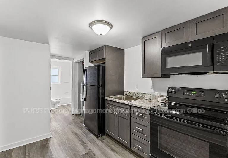 725 E College St #725 E COLLEGE STREET — Photo 1
