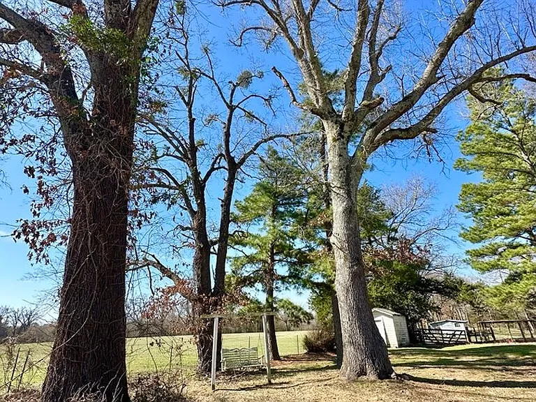 10191 FM 607 N — Photo 6
