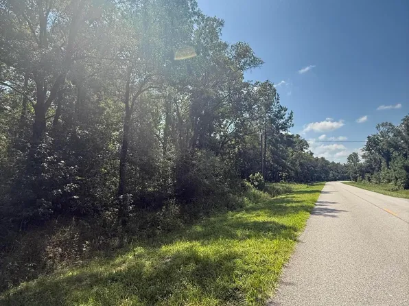 10130 W DEEP CREEK Boulevard, Hastings, FL 32145