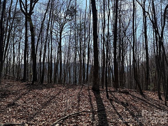 2nd image of Deer Run Rd #227