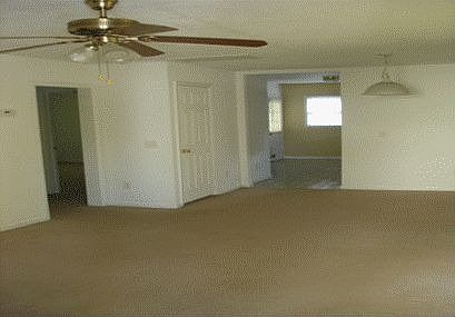 Large Living/Dining