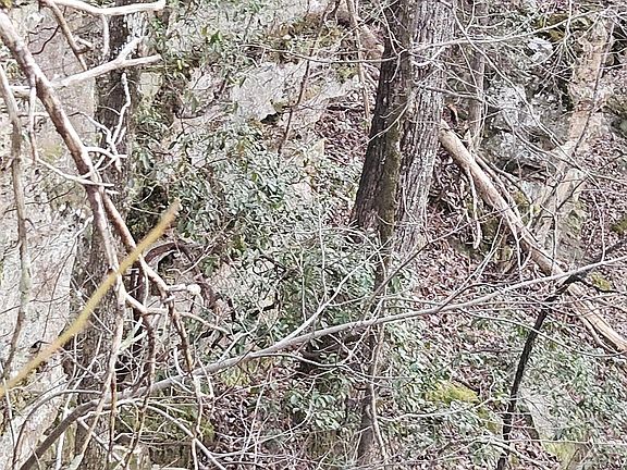 3rd image of 0 Underwood Mountain Rd