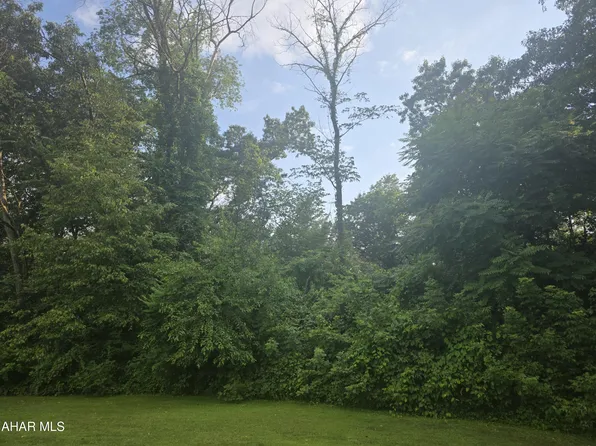 149 Drifted In Dr, Portage, PA 15946