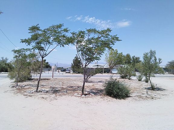 growing trees out front