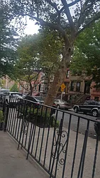 Rented by Old Brooklyn Real Estate Inc