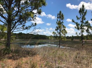 10237 Fox Sparrow Ave, Weeki Wachee, FL 34613