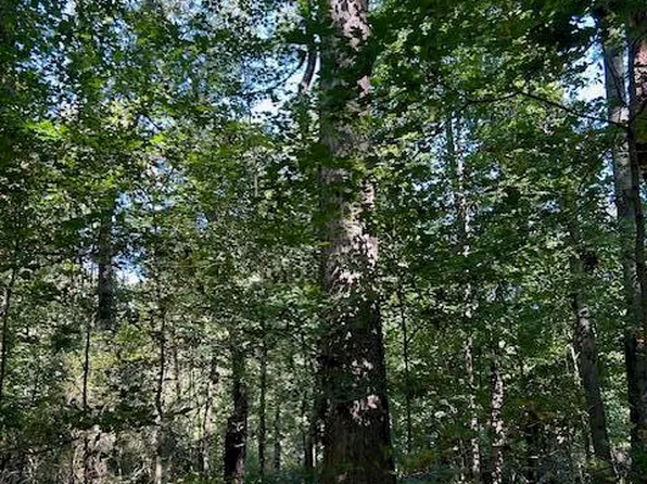 Million St, Athens, TN 37303