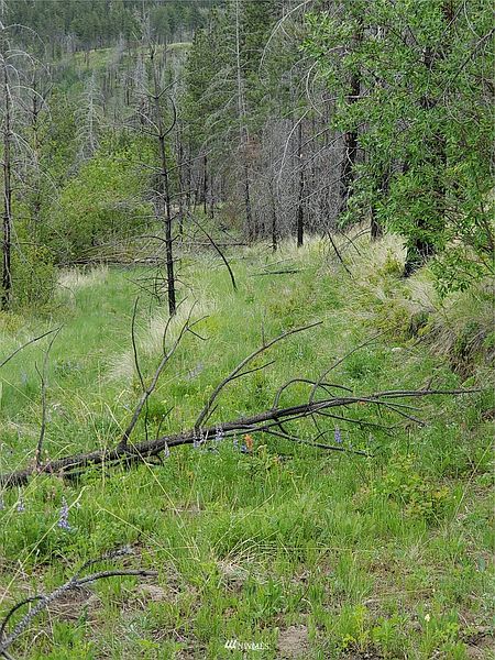 2nd image of 0 960X Knox Road