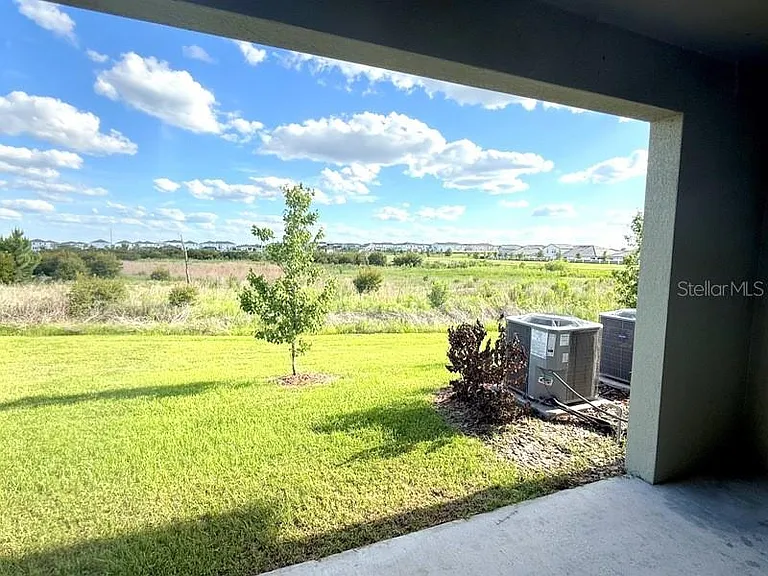 32010 Spiceberry St — Photo 12