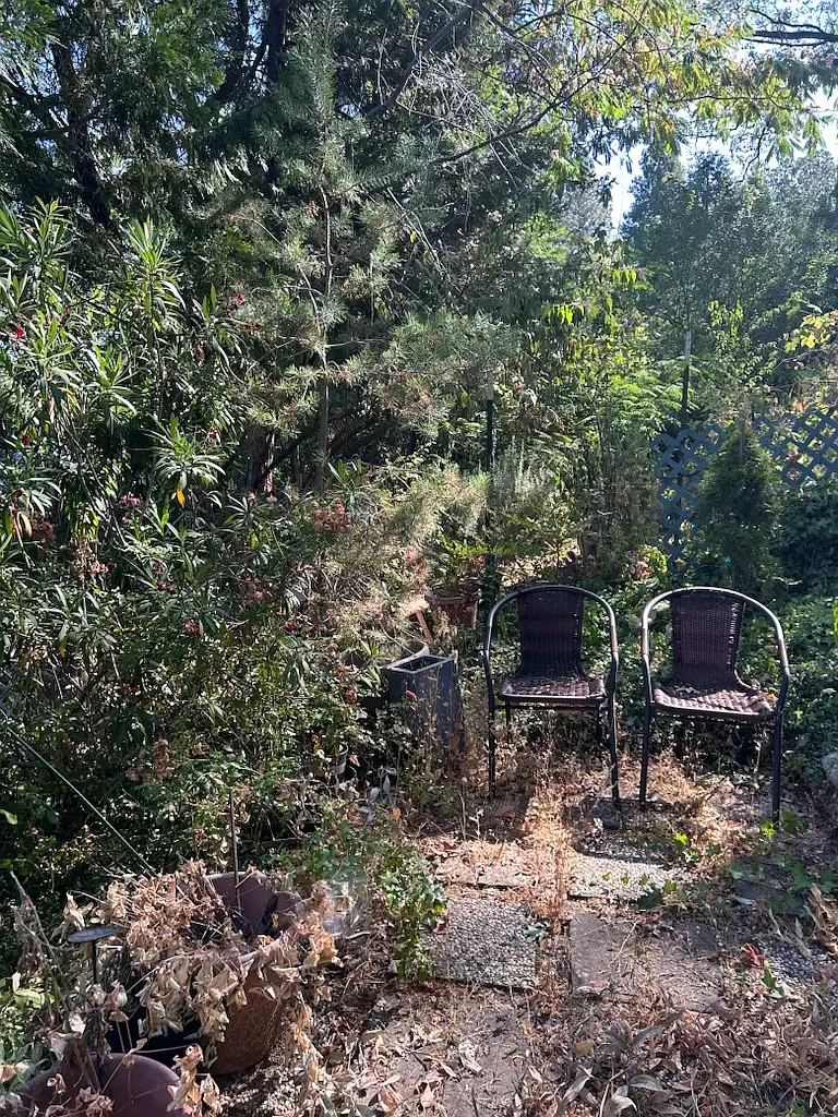 1 bed, 500 sqft, $1,397 — Photo 2