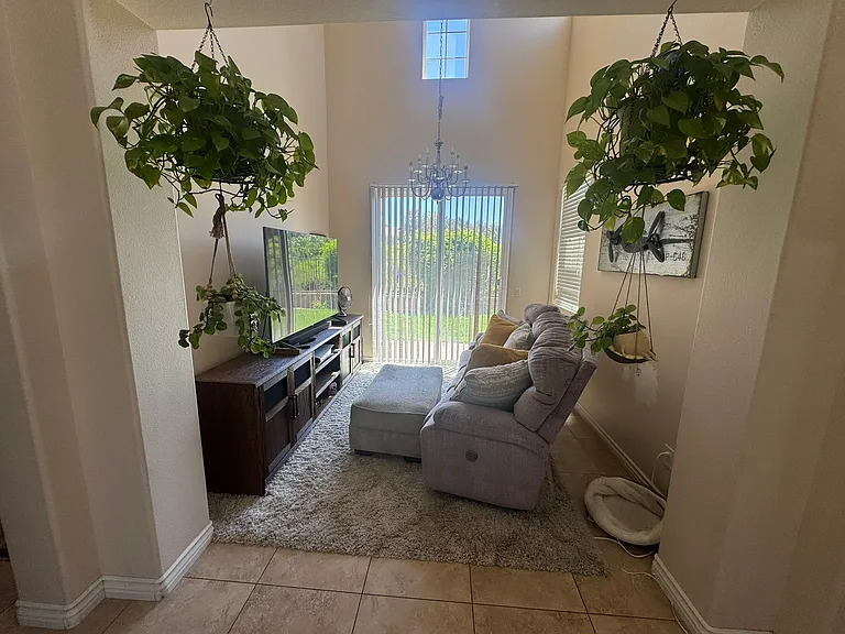 27786 Summer Grove Pl — Photo 8