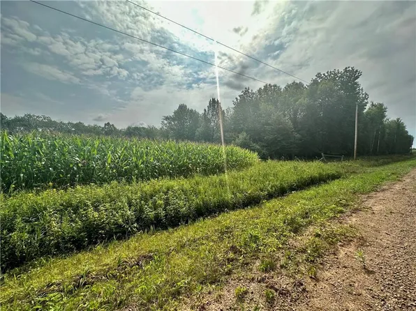 00 (10 acres) lot 4 335th Avenue, Frederic, WI 54837