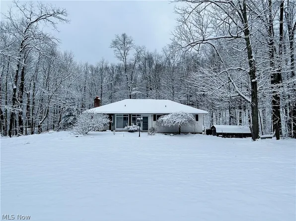 15376 Munn Rd, Newbury, OH 44065