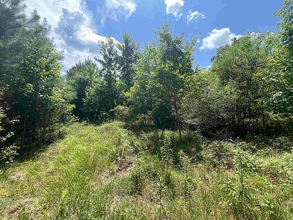 3rd image of 240 Strong Rd