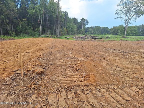 4th image of 709 Old Pinola Braxton Rd