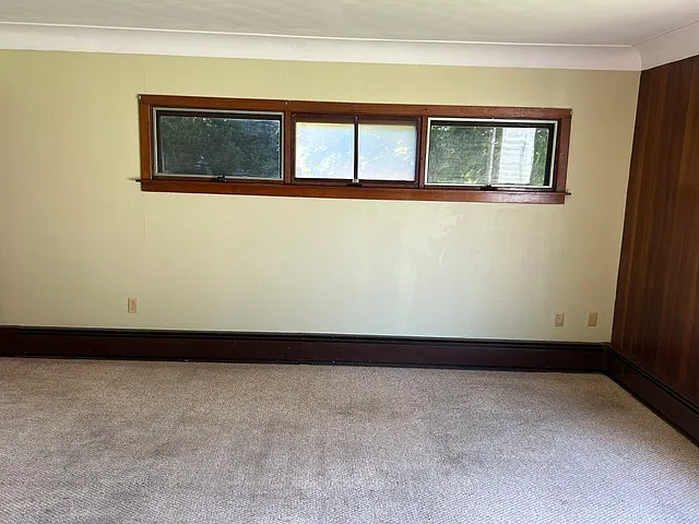Mid century living room windows.